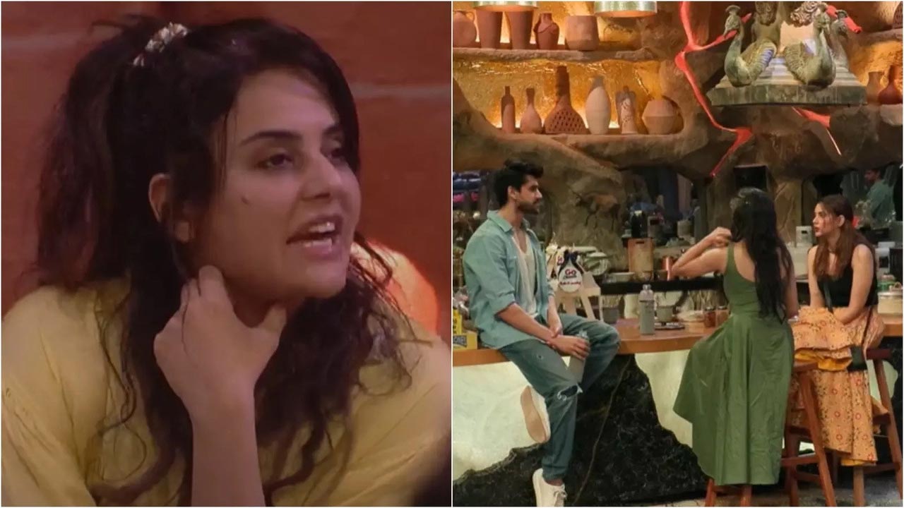 Bigg Boss 18: Sara Arfeen’s Repulsive Behavior Towards Eisha Singh and Avinash