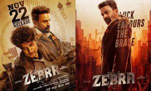 Zebra Review: Is Satyadev's Film Stripes of Success or Missed Marks?