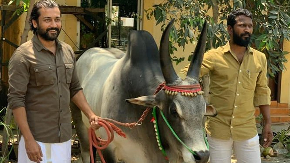 Suriya and Vetrimaaran’s action thriller Vaadivaasal is to release in three parts