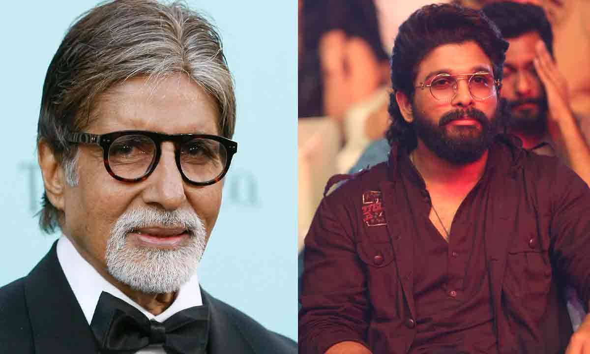 Exploring the Relationship Between Amitabh Bachchan and Allu Arjun