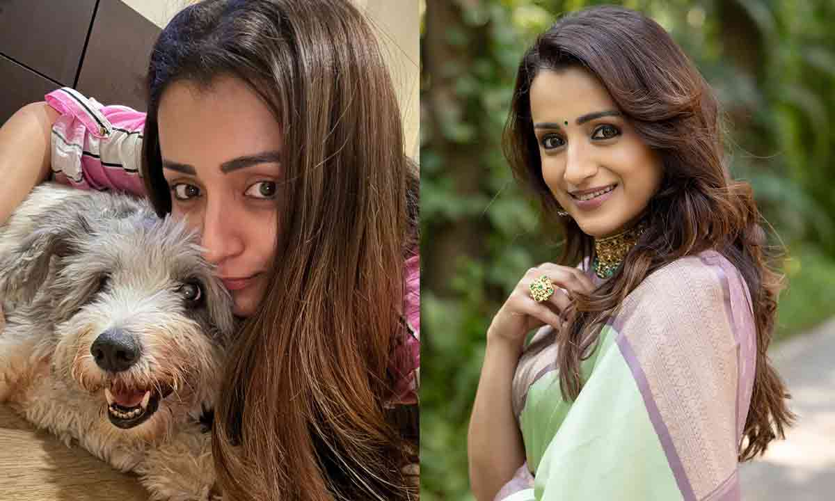 Trisha Krishnan Pays Tribute To Her Late Son Zorro With An Emotional Message