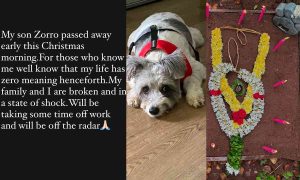 Trisha Krishnan Pays Tribute To Her Late Son Zorro With An Emotional Message