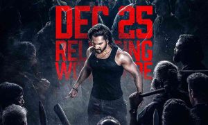 Baby John Box Office Collection Day 2: Varun Dhawan's Film Faces a Challenge