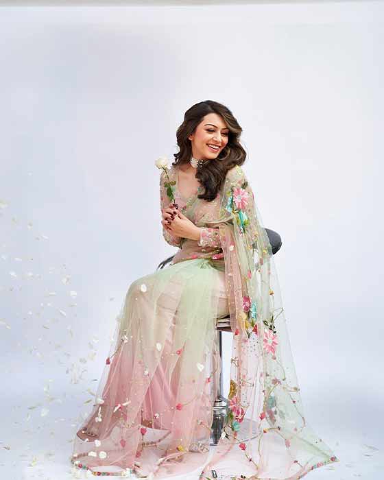 (Image Source: Hansika Motwani/Instagram)