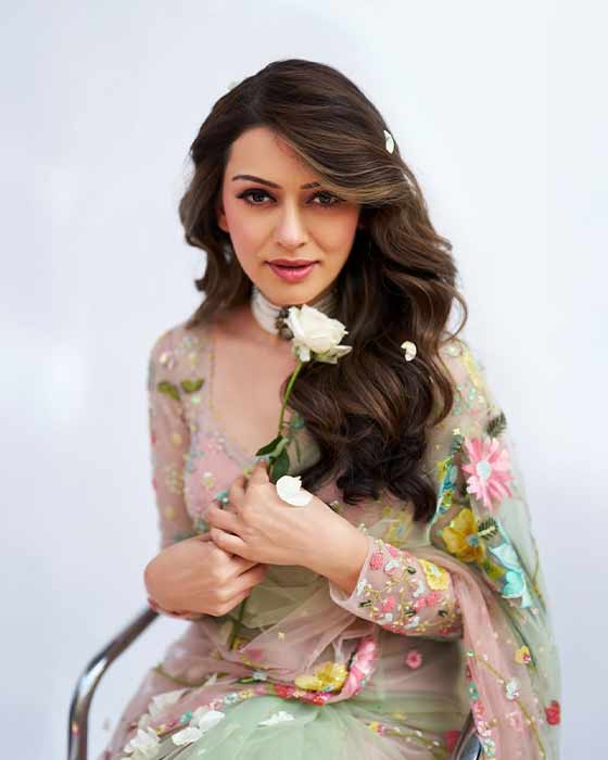 (Image Source: Hansika Motwani/Instagram)