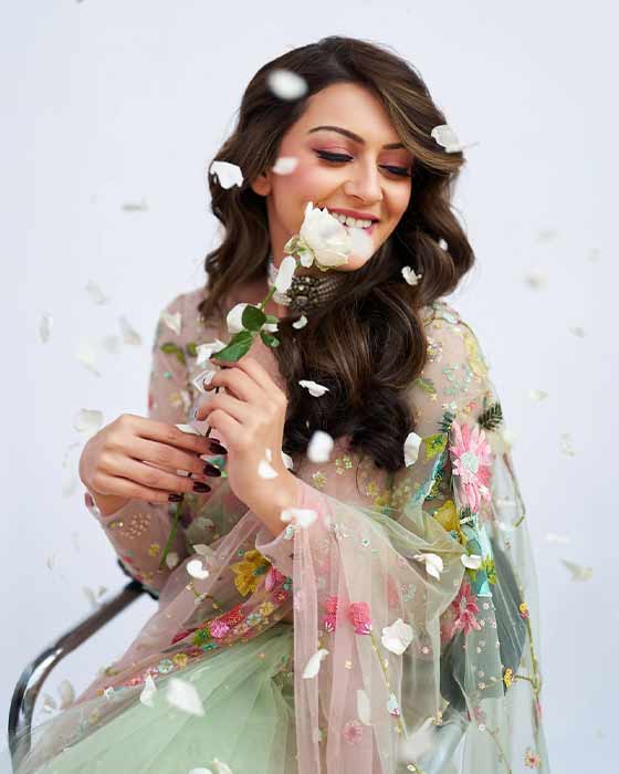 (Image Source: Hansika Motwani/Instagram)