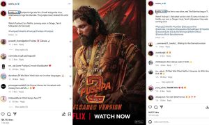 The Secret Pushpa 2 Game Netflix Played: A Big Decision Revealed