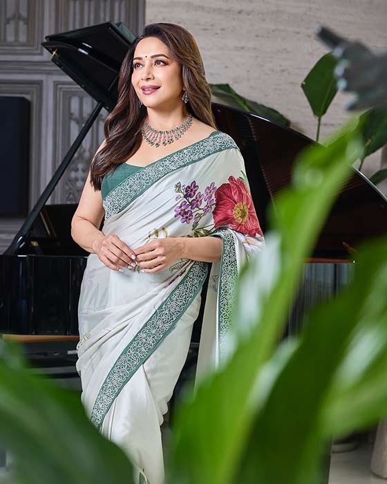 (Image Source: Madhuri Dixit/Instagram)