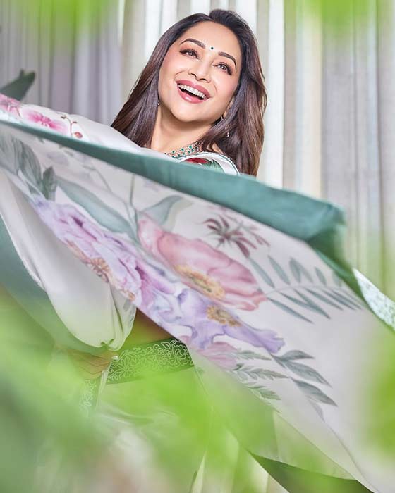 (Image Source: Madhuri Dixit/Instagram)