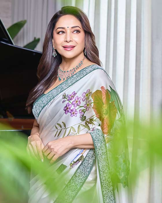 (Image Source: Madhuri Dixit/Instagram)