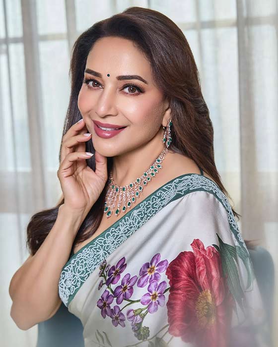 (Image Source: Madhuri Dixit/Instagram)