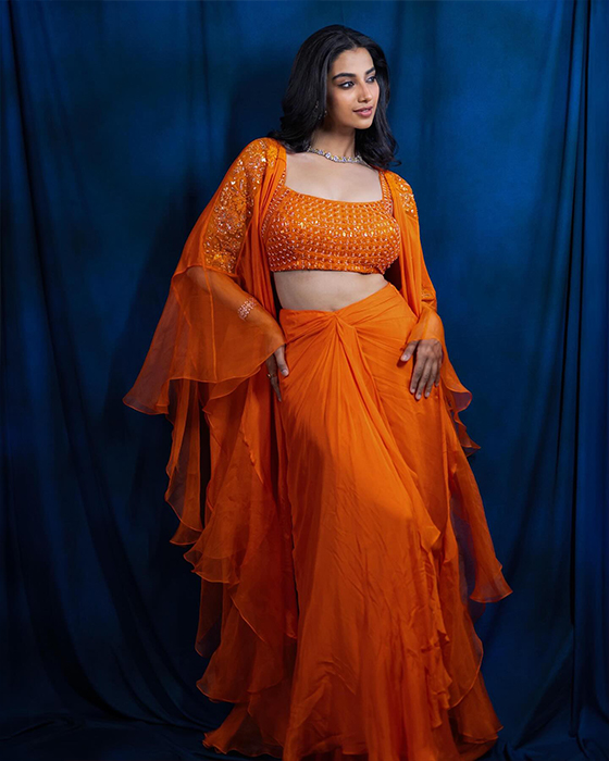 Meenakshi Chaudhary Sets the Internet on Fire with Stunning Pictures