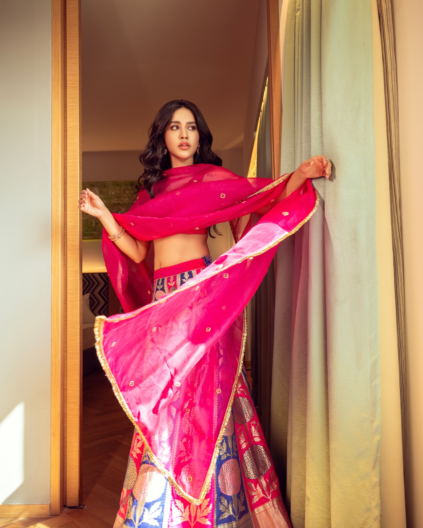 Nabha Natesh Photo Gallery