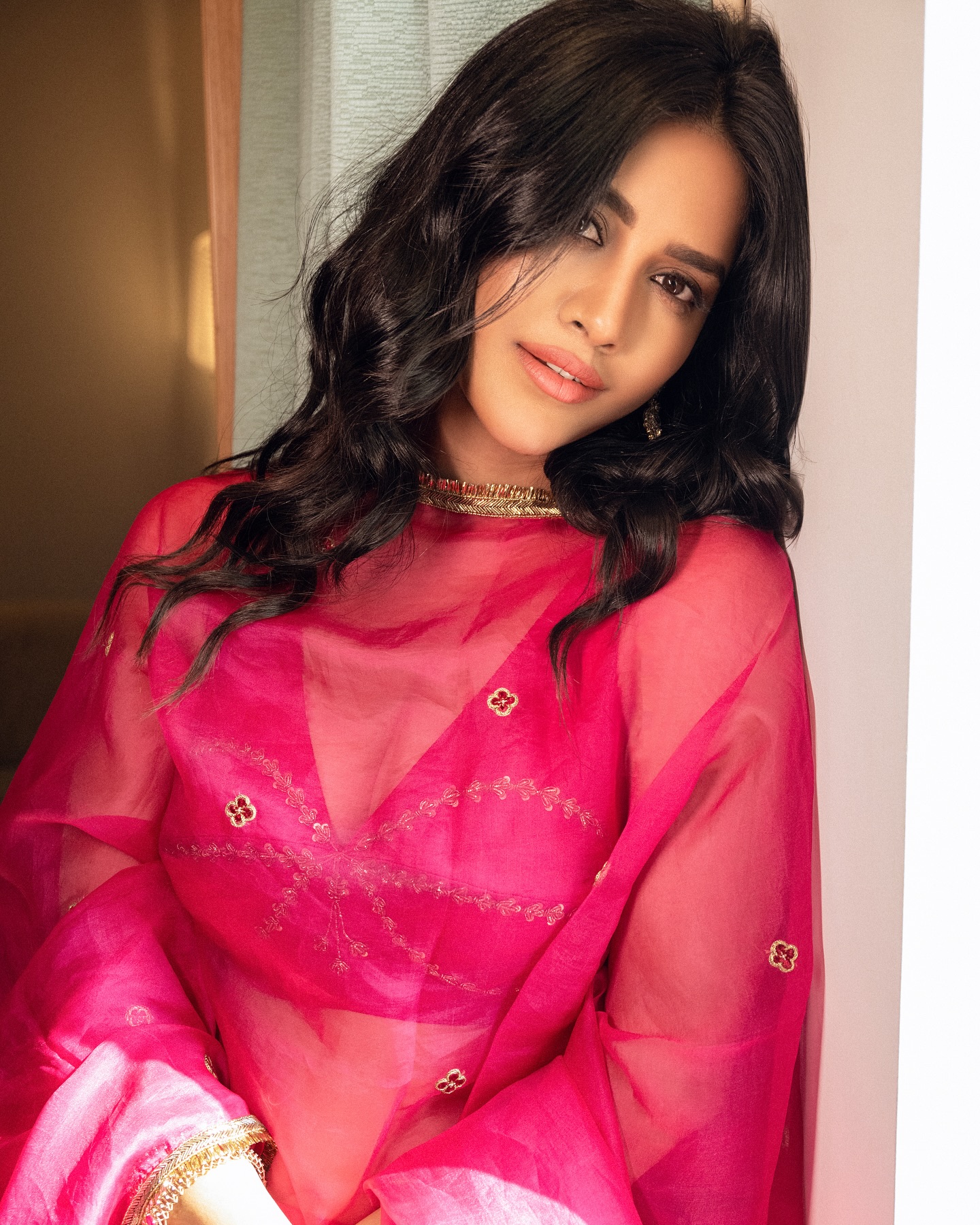 Nabha Natesh Photo Gallery
