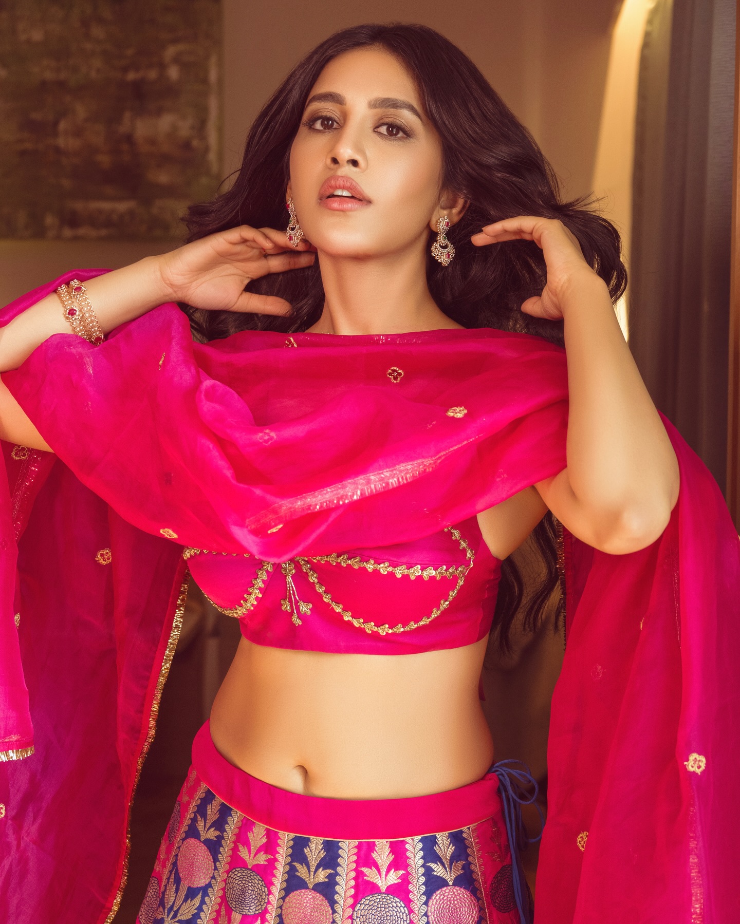 Nabha Natesh Photo Gallery