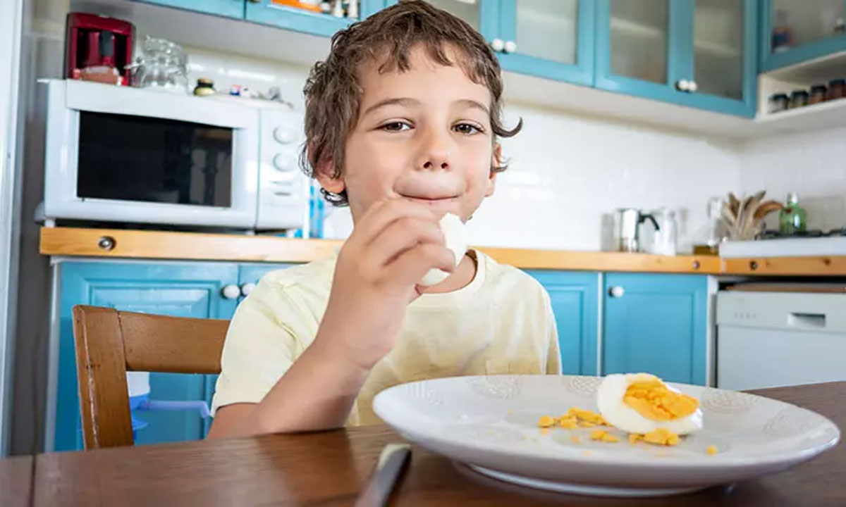Eggs for Children: Is Daily Consumption Healthy?