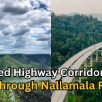 Elevated highway corridor through Nallamala Forest
