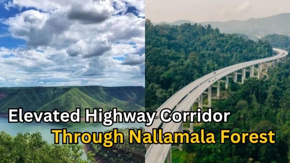 Elevated highway corridor through Nallamala Forest
