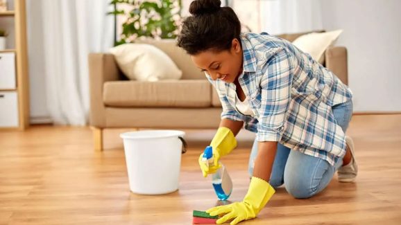 Prevent Flies and Bugs This Summer with These Simple Mopping Hacks