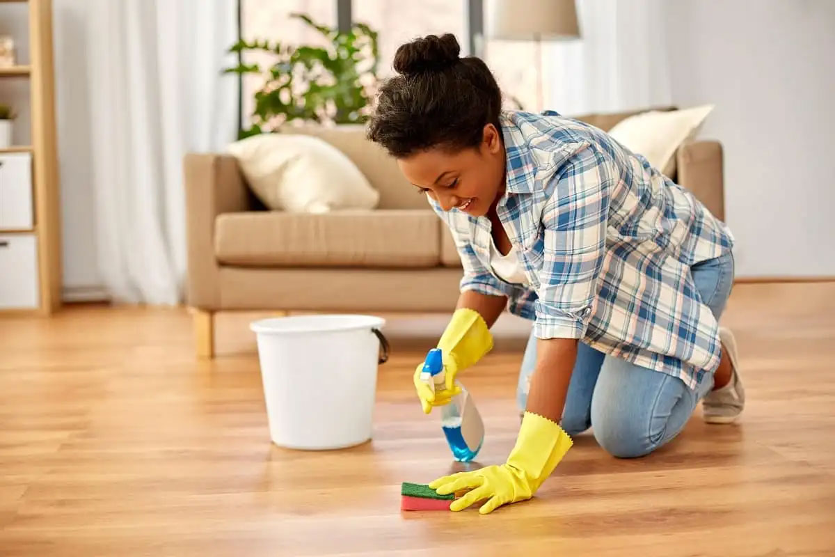 Prevent Flies and Bugs This Summer with These Simple Mopping Hacks