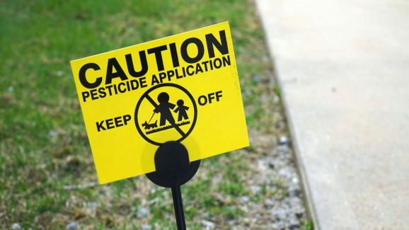 Pesticide Alert: Never Eat These 3 Vegetables Without Cleaning