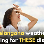 Telangana weather: Meteorological Department issues warning for THESE districts