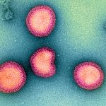 Human Coronavirus HKU1 Detected in Kolkata: Symptoms and Precautions
