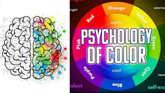 The Psychology of Color: How Your Home Decor Affects Your Mood