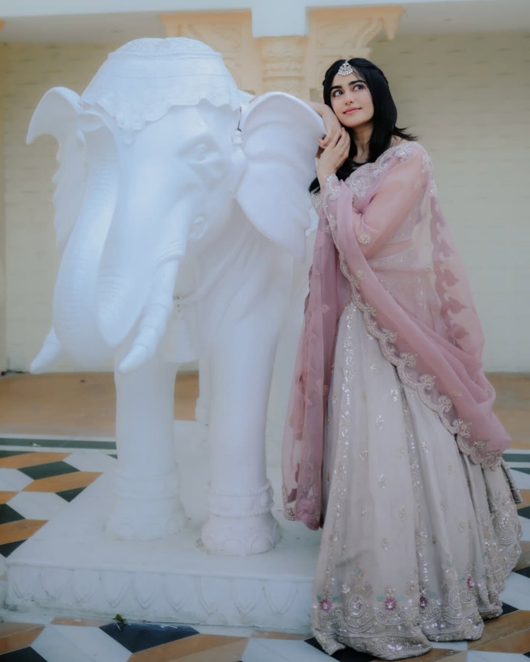 Adah Photo Gallery