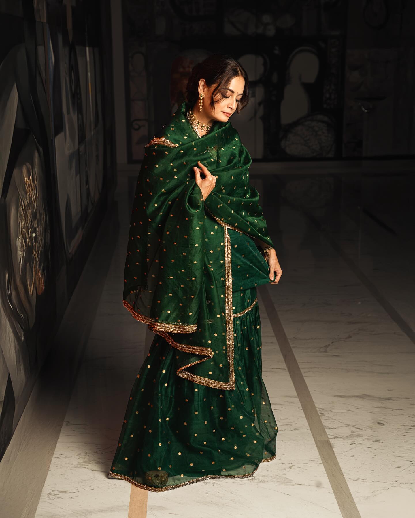 Dia Mirza Photogallery