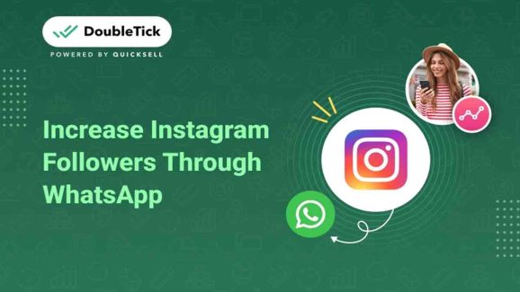 Want Instant Instagram Followers? WhatsApp’s Latest Feature Is the Answer!
