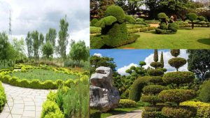 Hyderabad Top 7 Couple-Friendly Hangout Spots!