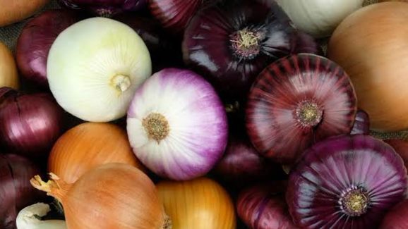 Is Eating Raw Onions Healthy? Read on to know more.