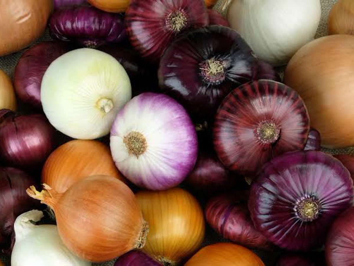 Is Eating Raw Onions Healthy? Read on to know more.