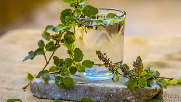 Beat the Summer Heat with This Refreshing Tulsi Drink