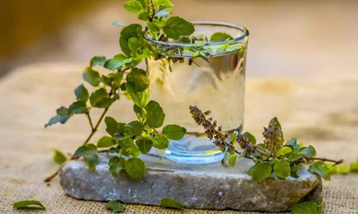 Beat the Summer Heat with This Refreshing Tulsi Drink