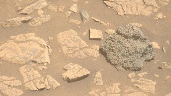Spider eggs on Mars? NASA’s shocking discovery surprised scientists