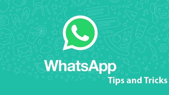 5 Must Try WhatsApp Features to Simplify Your Work Life