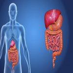 What You Should Never Do After Eating? Simple Tips for Better Digestion