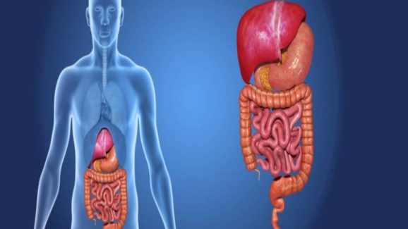 What You Should Never Do After Eating? Simple Tips for Better Digestion