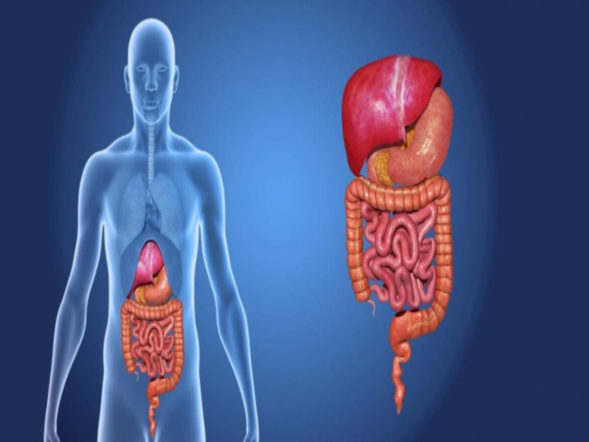 What You Should Never Do After Eating? Simple Tips for Better Digestion