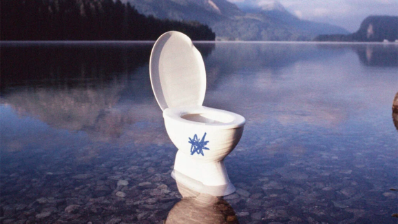 This Common Toilet Habit Could Lead to Severe Health Issues