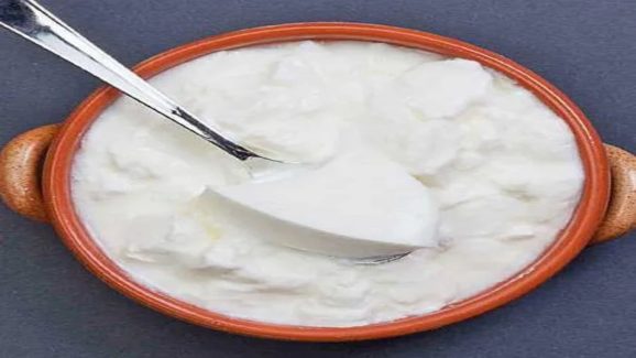Health Tips: Dangerous Combinations with Curd You Should Avoid