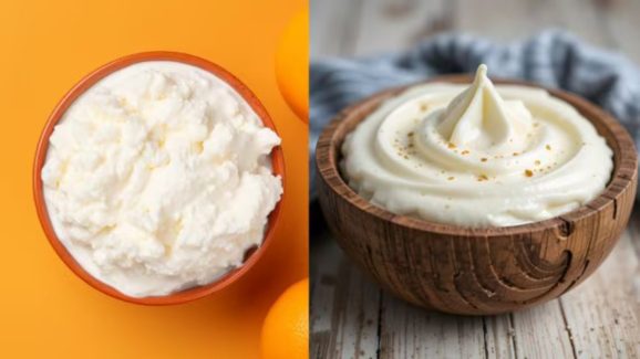 Curd vs Yogurt: Which is Safer for Your Health?