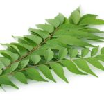 Curry Leaves Help Control Blood Sugar Naturally