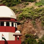 Gachibowli Tree Cutting Under SC Scrutiny, Government Faces Legal Heat