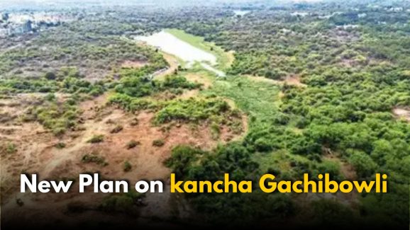 Revanth Reddy’s New Plan on kancha Gachibowli: Complete Details