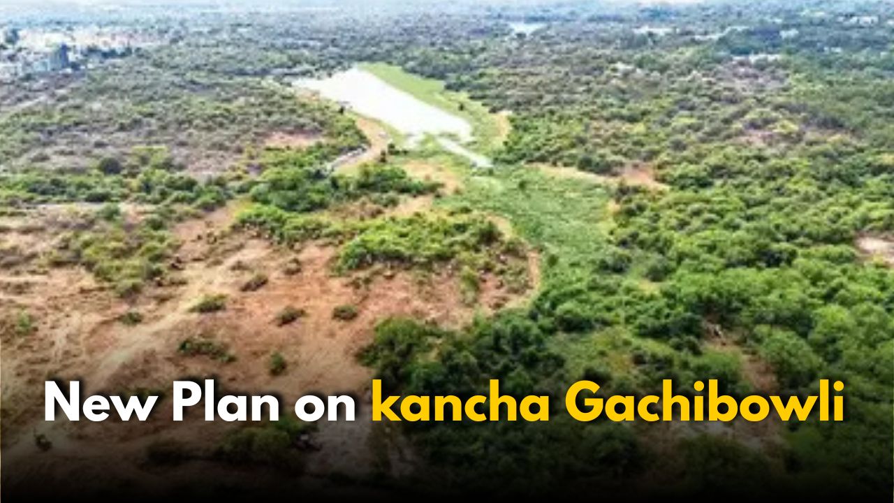 Revanth Reddy’s New Plan on kancha Gachibowli: Complete Details