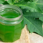 Papaya Leaf Water: Nature’s Secret Remedy for Digestion, Hair & More