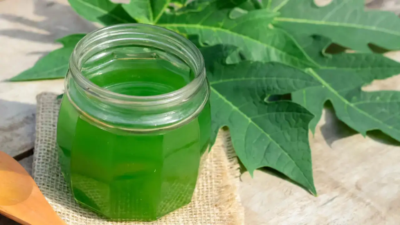 Papaya Leaf Water: Nature’s Secret Remedy for Digestion, Hair & More